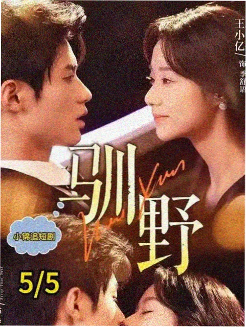 本周飙升剧集
